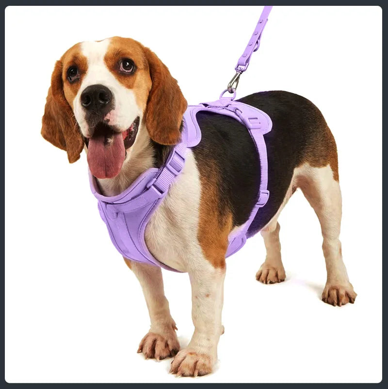 Cat Dog Harness Vest Chest Rope Set Reflective Breathable Adjustable Pet Harness for Small Medium Dogs Outdoor Walking