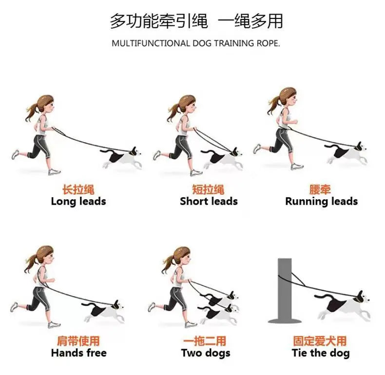 Cat Dog Harness Vest Chest Rope Set Reflective Breathable Adjustable Pet Harness for Small Medium Dogs Outdoor Walking