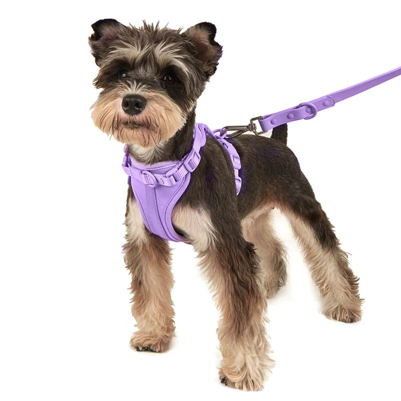 Cat Dog Harness Vest Chest Rope Set Reflective Breathable Adjustable Pet Harness for Small Medium Dogs Outdoor Walking