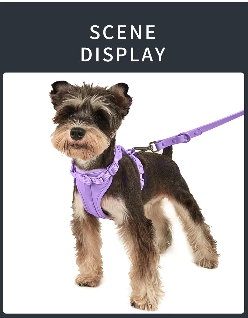 Cat Dog Harness Vest Chest Rope Set Reflective Breathable Adjustable Pet Harness for Small Medium Dogs Outdoor Walking